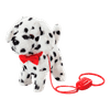 Perro-Dalmatian-Kennel-Camina-y-Ladra-Pitter-Patter-Pets