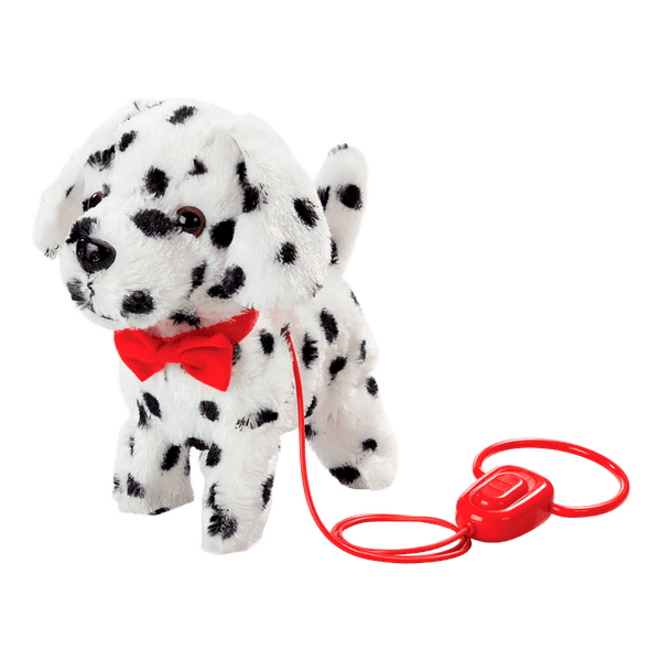 Perro-Dalmatian-Kennel-Camina-y-Ladra-Pitter-Patter-Pets Perro-Dalmatian-Kennel-Camina-y-Ladra-Pitter-Patter-Pets