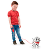 Perro-Dalmatian-Kennel-Camina-y-Ladra-Pitter-Patter-Pets