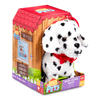 Perro-Dalmatian-Kennel-Camina-y-Ladra-Pitter-Patter-Pets
