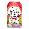 Perro-Dalmatian-Kennel-Camina-y-Ladra-Pitter-Patter-Pets