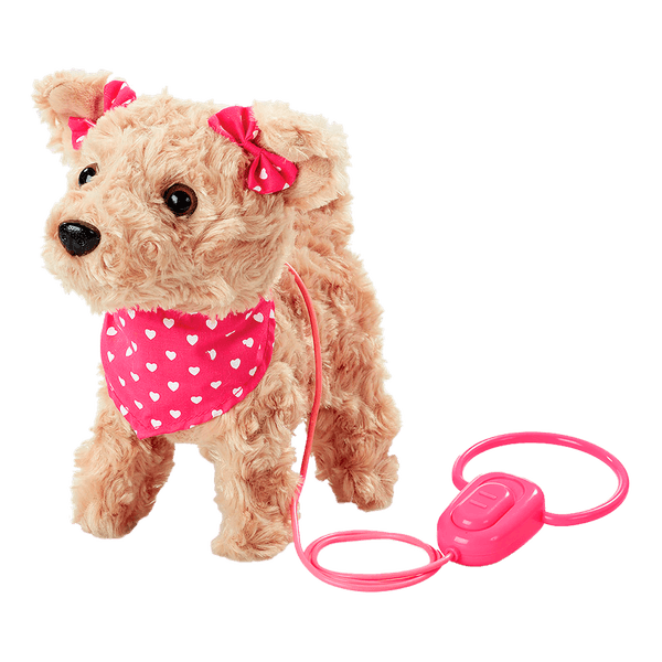 Perro-Terrier-Kennel-Camina-y-Ladra-Pitter-Patter-Pets