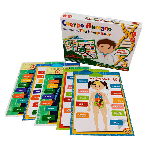 Juego-Educativo-Cuerpo-Humano-Toyng