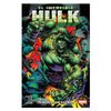 Comic-Incredible-Hulk-N.2-Panini-103242243