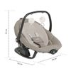 Silla-Mecedora-para-Bebe-2-en-1-Serina-Hazelnut-Beige-Joie