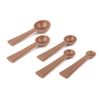 Set-5-Cucharas-Medidoras-Ginger-Spice-Ikhome