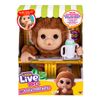 Bebe-Mono-Caja-Apilable-Little-Live-Pets