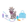Set-de-cuidados-de-Sven-Frozen