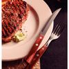 Juego_de_Cubiertos_12_piezas_Jumbo_Churrasco_en_Acero_Inoxidable_y_Mangos_Polywood_Rojo_Tramontina_125479047