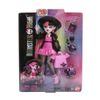 Muñeca_Look_Monstruoso_Draculaura_Monster_High_10176047503