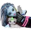 Muñeca-Look-Monstruoso-Frankie-Stein-Monster-High