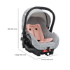 Combo_Paseo_Seguro_Coche_y_Corral_Gris_Priori_116006850