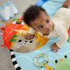 Gimnasio_Pataditas_y_Balanceo_Recien_Nacido_Fisher_Price_103448325