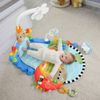 Gimnasio_Pataditas_y_Balanceo_Recien_Nacido_Fisher_Price_103448325