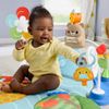 Gimnasio_Pataditas_y_Balanceo_Recien_Nacido_Fisher_Price_103448325
