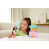 Set_Muñeca_Chelsea_Fiesta_de_Cumpleaños_Barbie_103453274