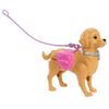 Set_Muñeca_con_Perrito_Paseo_y_Baño_Barbie_103453375