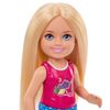 Set_Muñeca_Chelsea_Campista_con_Perrito_y_Fogata_Barbie_103454183