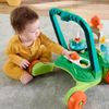 Andadera_para_Bebe_Tortuga_Primeros_Pasos_Fisher_Price_103455799