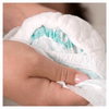 Pañales-Rascals-T6-X-30-Unds-Rascals-115755310