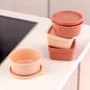Set-4-Mini-Bowl-Silicona-Ginger-Spice-Ikhome