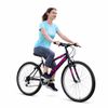 Bicicleta_Dama_Rin_26-18_Cambios_Sforzo_Negro_1195812