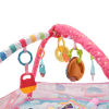 Gimnasio_de_Actividades_Rosa_Premium_Baby_115993314