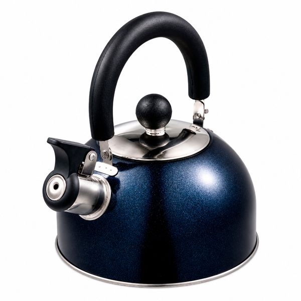 Tetera_Acero_Inoxidable_Dark_Blue_1.3L_Bergner_125480109