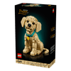 Set_Icons_Golden_Retriever_2102_Piezas_LEGO_103391349