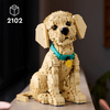 Set_Icons_Golden_Retriever_2102_Piezas_LEGO_103391349