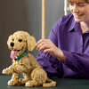 Set_Icons_Golden_Retriever_2102_Piezas_LEGO_103391349