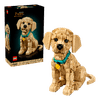 Set_Icons_Golden_Retriever_2102_Piezas_LEGO_103391349