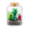 Capsula_Sorpresa_Botanical_Garden_Serie_1_Mini_Brands_103484893