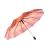 Sombrilla_Apertura_Automatica_Estampado_P2_-_Ikhome_125454741