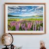 Rompecabezas_Lupulos_en_el_Lago_Tekapo_2000_Piezas_Clementoni_103436607