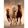 Rompecabezas_Caballos_Corriendo_1000_Piezas_Clementoni_101581669